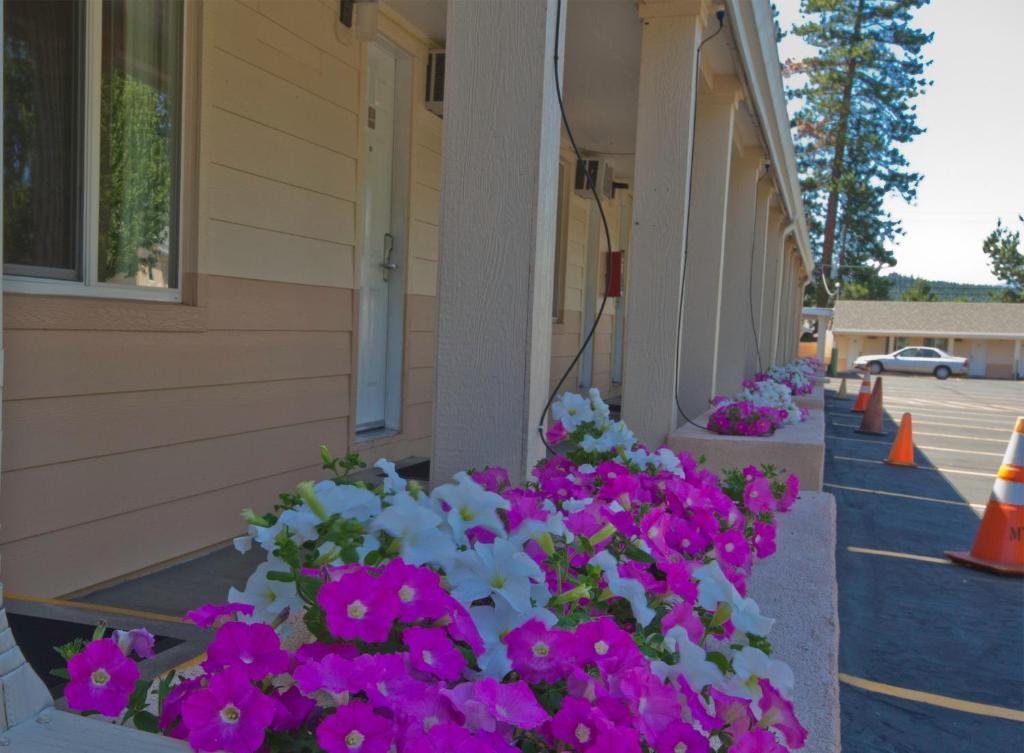 Shasta Pines Motel & Suites Burney Exterior photo